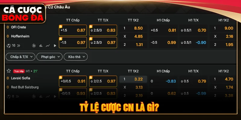 Giải thích khái niệm tỷ lệ cược CN cho người mới